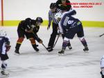Photo hockey match Besançon - Epinal  le 30/11/2013