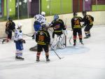 Photo hockey match Besançon - Luxembourg le 16/02/2013