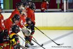 Photo hockey match Besançon - Mulhouse le 09/03/2025