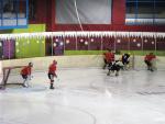 Photo hockey match Besançon - Strasbourg II le 14/01/2012