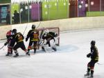 Photo hockey match Besançon - Valenciennes le 22/12/2012