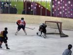 Photo hockey match Besançon - Valenciennes le 22/12/2012