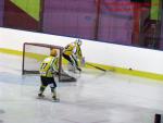 Photo hockey match Besançon - Viry-Châtillon le 18/01/2014