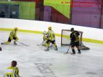 Photo hockey match Besançon - Viry-Châtillon le 18/01/2014