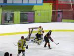 Photo hockey match Besançon - Viry-Châtillon le 18/01/2014