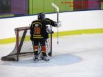 Photo hockey match Besançon - Viry-Châtillon le 18/01/2014