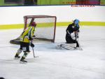 Photo hockey match Besançon - Viry-Châtillon le 18/01/2014