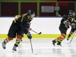 Photo hockey match Besançon - Viry-Châtillon le 18/01/2014