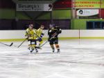 Photo hockey match Besançon - Viry-Châtillon le 18/01/2014