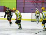 Photo hockey match Besançon - Viry-Châtillon le 18/01/2014