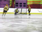 Photo hockey match Besançon - Viry-Châtillon le 22/11/2014