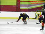Photo hockey match Besançon - Viry-Châtillon le 22/11/2014