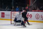 Photo hockey match Bordeaux - Angers  le 24/01/2025