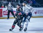 Photo hockey match Bordeaux - Angers  le 18/03/2025