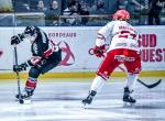 Photo hockey match Bordeaux - Briançon  le 21/02/2025