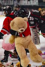 Photo hockey match Bordeaux - Briançon  le 16/01/2026