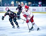 Photo hockey match Bordeaux - Briançon  le 16/01/2026