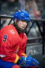 Photo hockey match Bordeaux - Espagne le 08/02/2025