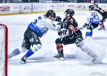 Photo hockey match Bordeaux - Gap  le 17/01/2025