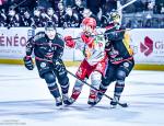 Photo hockey match Bordeaux - Grenoble  le 21/12/2025