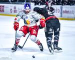 Photo hockey match Bordeaux - Grenoble  le 14/04/2026