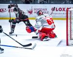 Photo hockey match Bordeaux - Grenoble  le 14/04/2026