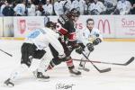 Photo hockey match Bordeaux - Marseille le 28/02/2025