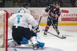 Photo hockey match Bordeaux - Marseille le 08/03/2025