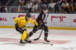Photo hockey match Bordeaux - Rouen le 16/09/2025