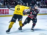 Photo hockey match Bordeaux - Rouen le 01/03/2026