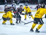 Photo hockey match Bordeaux - Rouen le 01/04/2026