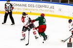 Photo hockey match Cergy-Pontoise - Amiens  le 05/09/2025