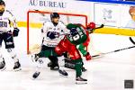 Photo hockey match Cergy-Pontoise - Angers  le 27/01/2026