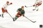 Photo hockey match Cergy-Pontoise - Briançon  le 19/11/2024