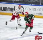 Photo hockey match Cergy-Pontoise - Briançon  le 04/03/2025
