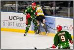 Photo hockey match Cergy-Pontoise - Chambéry le 11/03/2017