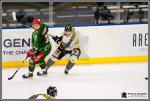 Photo hockey match Cergy-Pontoise - Chambéry le 11/03/2017
