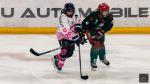 Photo hockey match Cergy-Pontoise / Féminin - Amiens / Féminin le 10/01/2026
