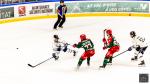 Photo hockey match Cergy-Pontoise - Gap  le 07/04/2026