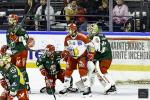 Photo hockey match Cergy-Pontoise - Grenoble  le 21/02/2025