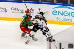 Photo hockey match Cergy-Pontoise - Marseille le 23/11/2025