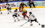 Photo hockey match Cergy-Pontoise - Marseille le 23/11/2025