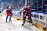 Photo hockey match Cergy-Pontoise - Nice le 09/01/2026