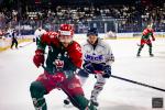 Photo hockey match Cergy-Pontoise - Nice le 09/01/2026