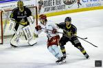 Photo hockey match Cergy-Pontoise - Rouen le 19/02/2025