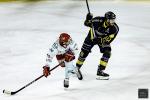 Photo hockey match Cergy-Pontoise - Rouen le 19/02/2025