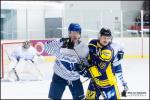 Photo hockey match Châlons-en-Champagne - Paris (FV) le 04/11/2017