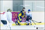 Photo hockey match Châlons-en-Champagne - Paris (FV) le 04/11/2017