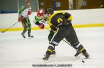 Photo hockey match Chambéry - Cergy-Pontoise le 26/01/2019