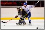 Photo hockey match Chambéry - Paris (FV) le 25/02/2017